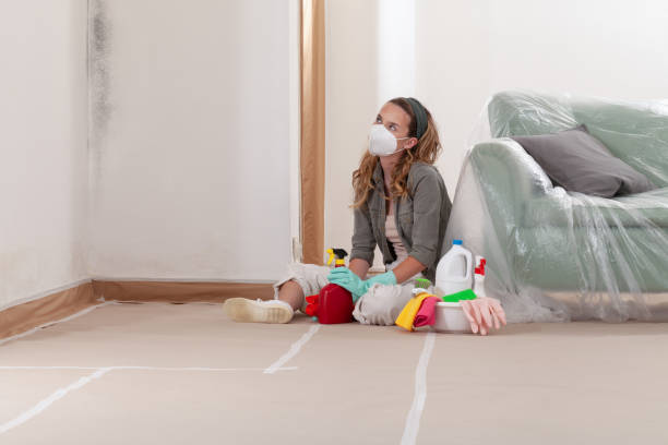 Reliable Mold Inspection contractor in Alpine, NJ by WQB Mold Removal