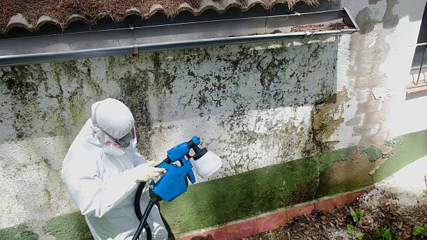 Top rated local Mold Inspection specialists in Alpine, NJ